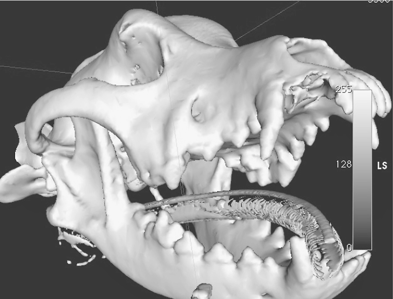 Advanced ENT and maxillofacial surgery - Veteducation